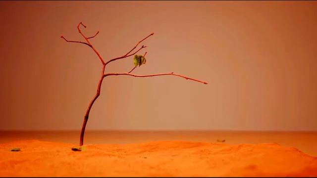 Ночь в пустыне Мгновенное Снятие Напряжения Остановка Мыслей Расслабление Для сна Для Засыпания