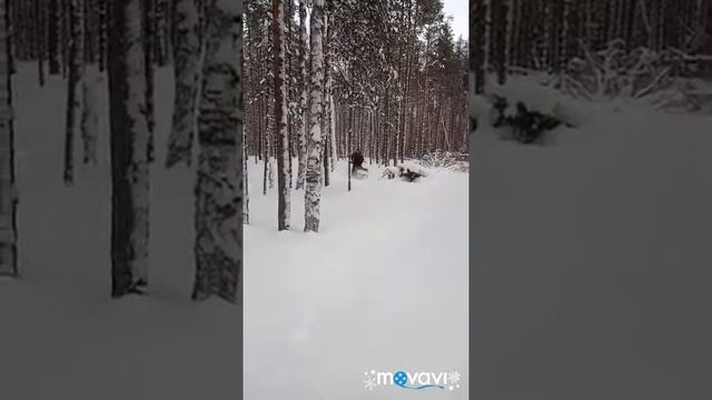 Мотобуксировщик МУЖИК едет по рыхлому снегу смотреть онлайн