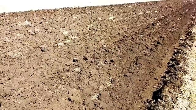 Летняя пахота 2018год. Трактором Мтз 1021