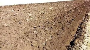 Летняя пахота 2018год. Трактором Мтз 1021