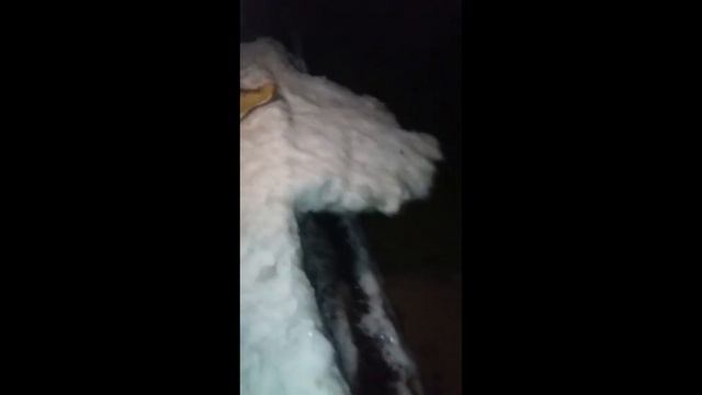 Морская Черепашка по имени Наташка REMIX for party смотреть онлайн