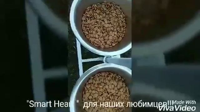 Smart Heart - отличный корм для собак в Бишкеке!!! смотреть онлайн