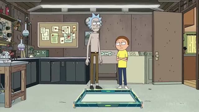 Rick And Morty: Morty Experiences True Level