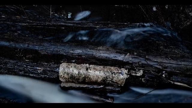 Profetus - As All Seasons Die (full Album)