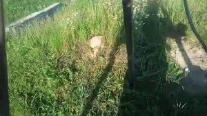 Как перемещать бетонные блоки ФБС одному