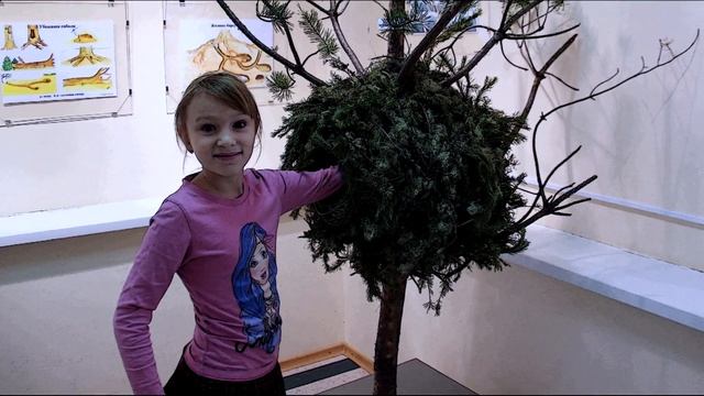 Галерея по имени птицы смотреть онлайн