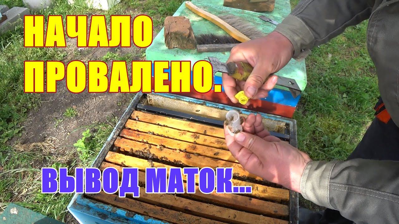 НАЧАЛО ПРОВАЛЕНО,ВЫВОД МАТОК. смотреть онлайн