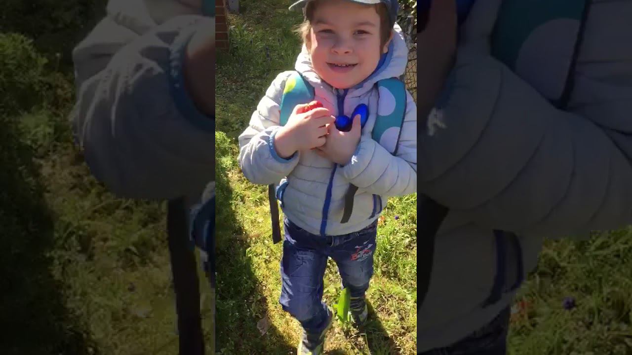 Frohe Ostern, в поисках яиц. смотреть онлайн