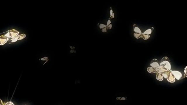Фон для видеомонтажа Butterflies HD Background смотреть онлайн