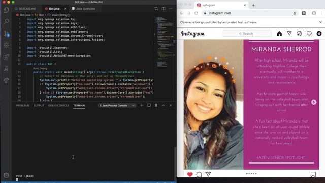 Demo iLikeYouBot - Java bot that likes instagram photos смотреть онлайн