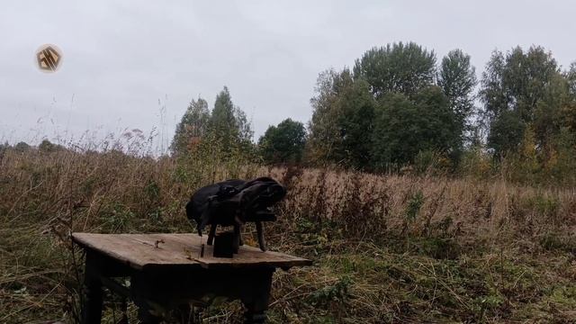 Пристрелка PARD NV008S-LRF смотреть онлайн