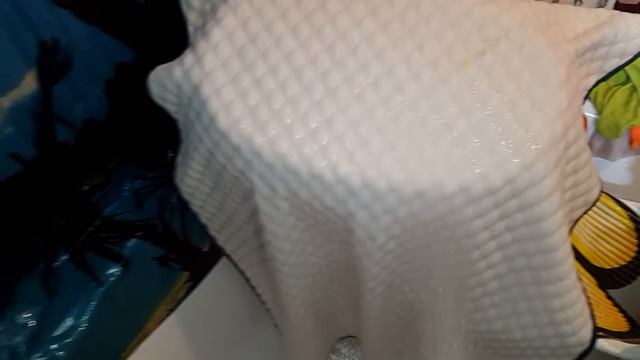 Тестируем новые многоразовые пеленки для собак. смотреть онлайн