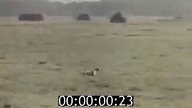 Физика биологических мембран 1979 смотреть онлайн