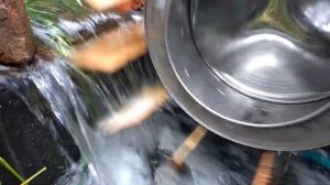 Самодельная Гидроэлектростанция из Стиральной Машины своими руками | Мини ГЭС #shorts