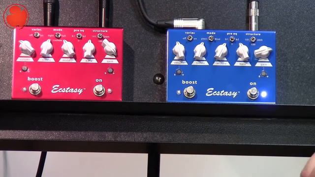 Bogner Ecstasy Blue Y Bogner Ecstasy Red Auvisa