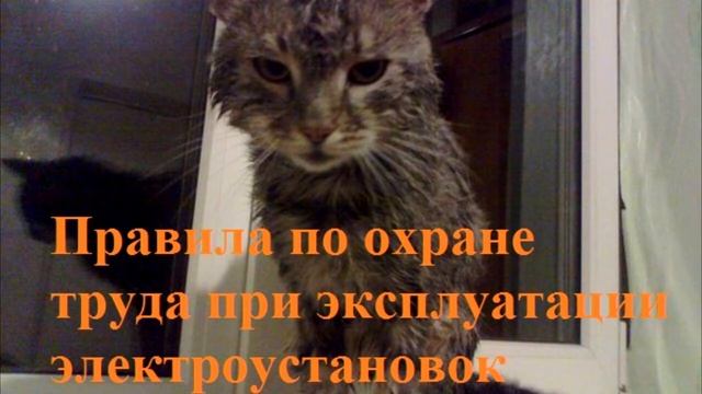 16. 1. Охрана труда при выполнении технических мероприятий, обеспечивающих безопасность работ смотреть онлайн