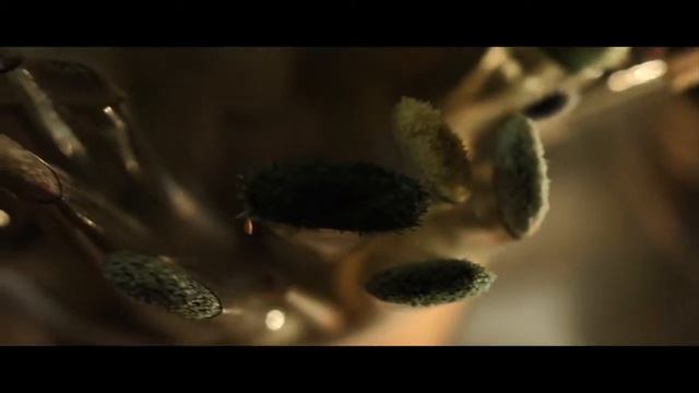 Dr. Tom Holt Family Dentistry - Commercial смотреть онлайн