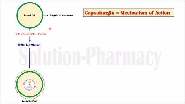 Caspofungin= Introduction and Mechanism of Action | Antifungal Medicines | Fungal Infections смотреть онлайн