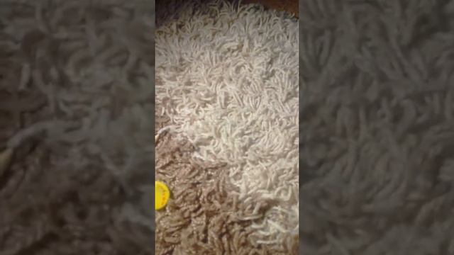 Что нужно для гончаров искусство смотреть онлайн