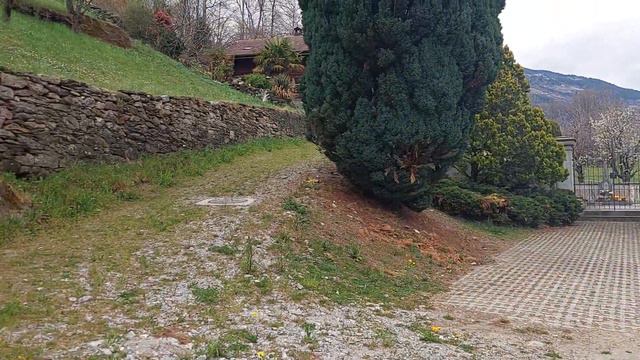 Ответ на вопрос, наши планы, обещанные  случаи . Швейцария.