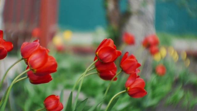 Я под впечатлением от этой потрясающей мелодии! Лучшие композиции Сергея Грищука музыка для души смотреть онлайн
