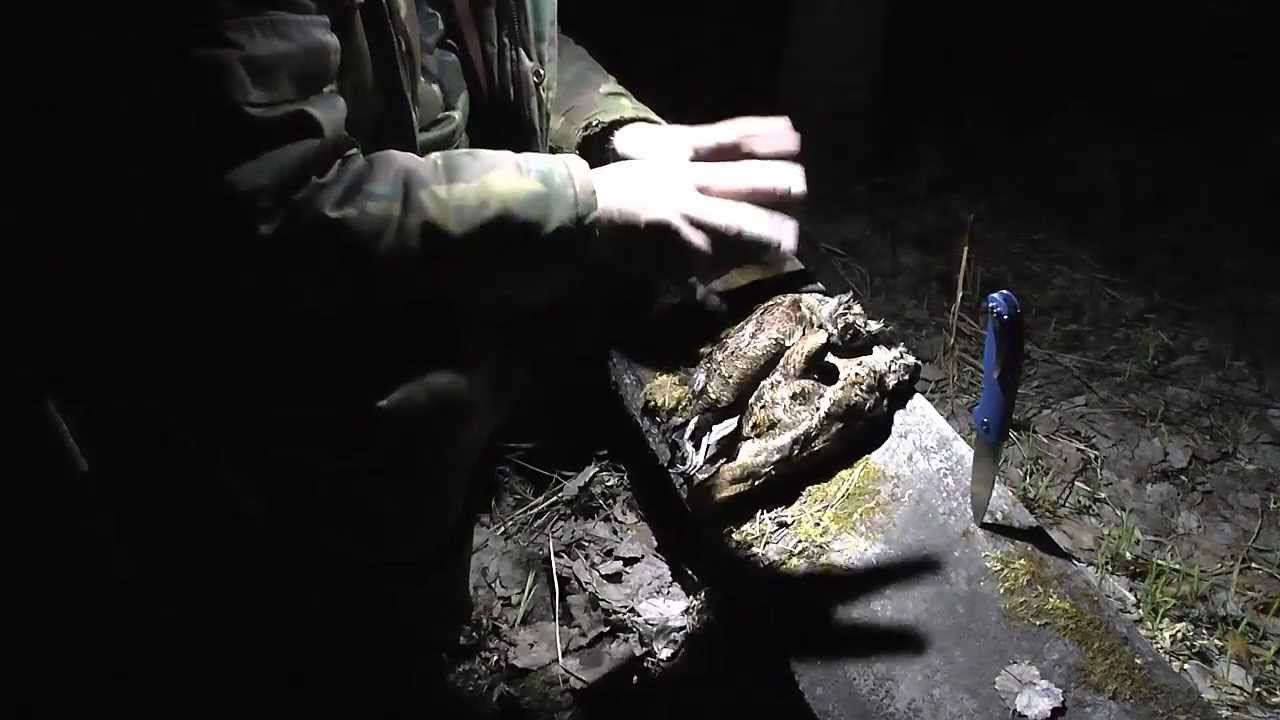 Широгоров F3 тест по вальдшнепу (18+) смотреть онлайн