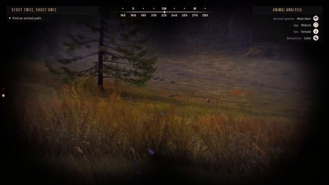 Way of the Hunter - Pheasants and Mule Deer смотреть онлайн