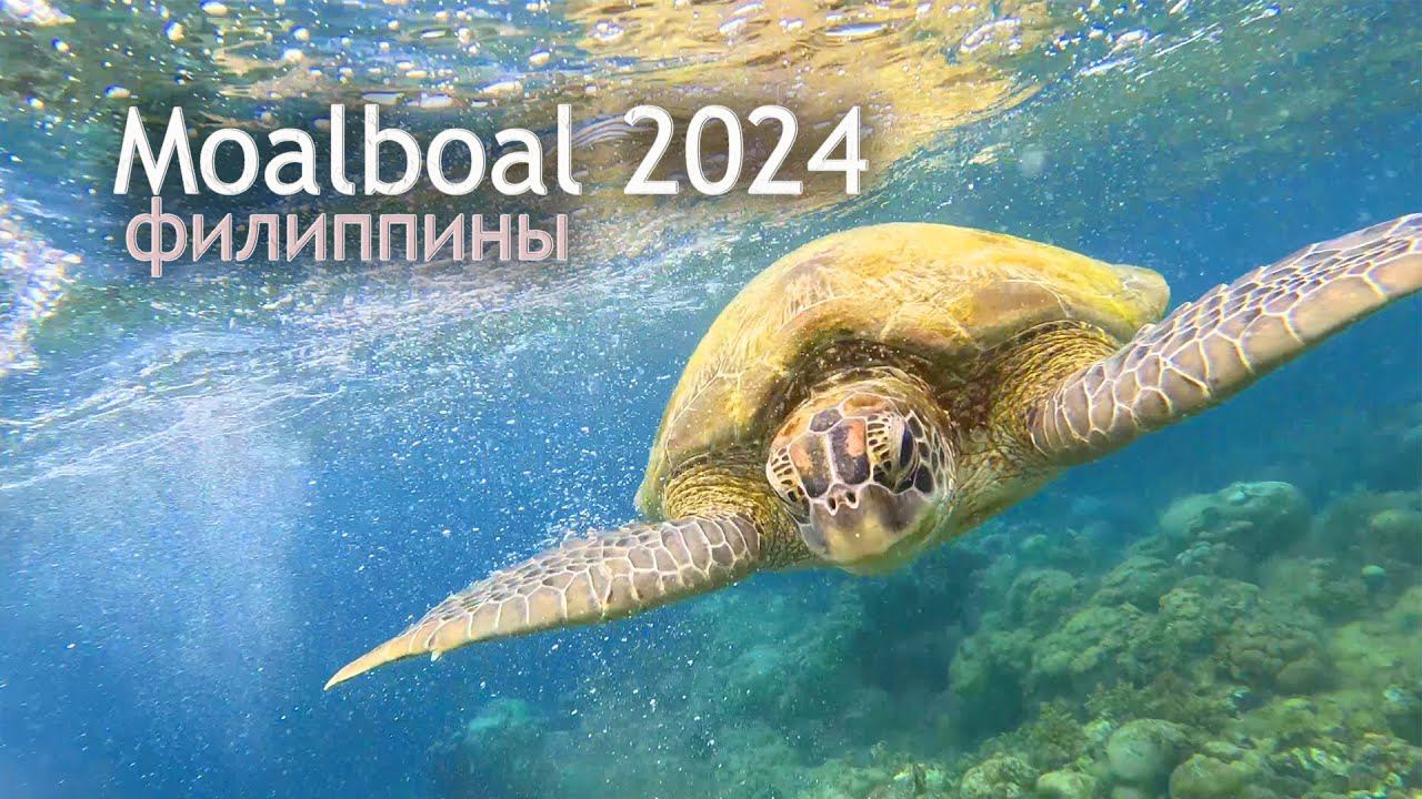 Филиппины - Moalboal 2024