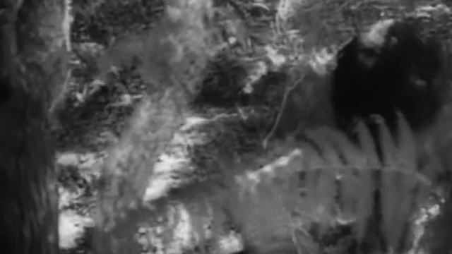 10 ДЕТЕЙ, ВОСПИТАННЫХ ДИКИМИ ЖИВОТНЫМИ смотреть онлайн