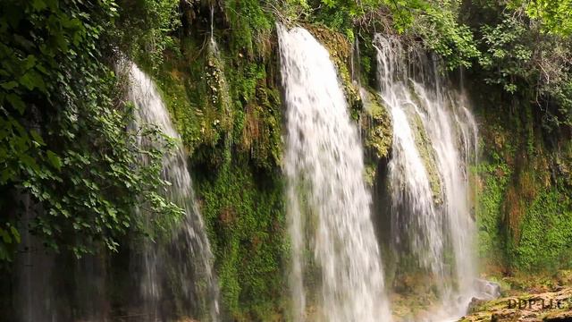 Nature Sounds – Magnificent Waterfalls in the Rain-forest смотреть онлайн
