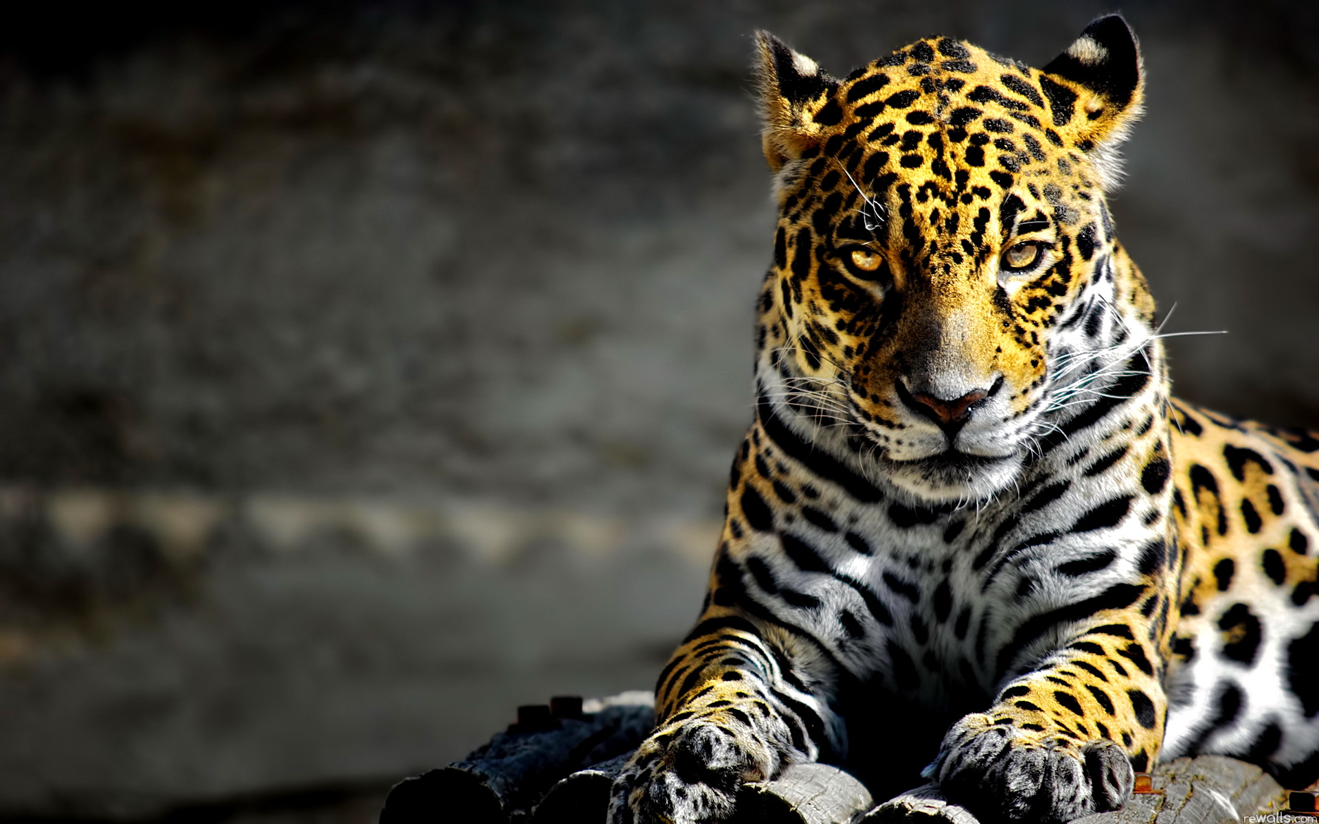 Немного о разном