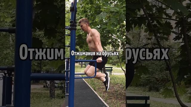 ДВА ЛУЧШИХ УПРАЖНЕНИЯ ДЛЯ РОСТА СИЛЫ ? #тренировка #подтягивания #брусья #воркаут #калистеника смотреть онлайн