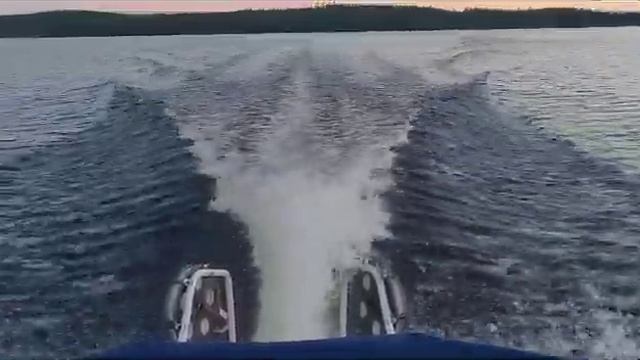 Bella 8000(2)