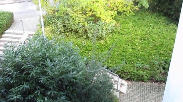 Canon IXUS 100 IS (DIGIC4) Test video HD смотреть онлайн