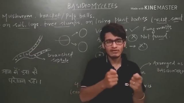 Kingdom fungi: Basidiomycetes NCERT lecture смотреть онлайн