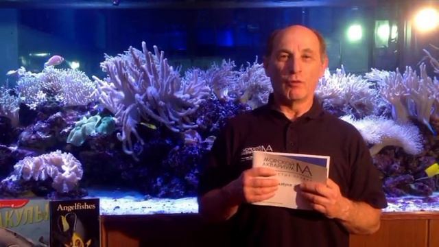 Изучаем буквы в Морском аквариуме на Чистых прудах. Буква А смотреть онлайн
