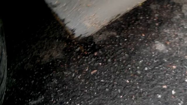 Стук в двигателе M112