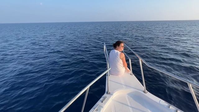 Dolphin encounter in the Maldives | Incredible wildlife experience смотреть онлайн
