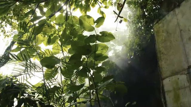 Best Things to Do in Cleveland, Ohio смотреть онлайн