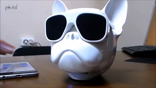 Портативная Bluetooth колонка CoolDog Французский Бульдог смотреть онлайн