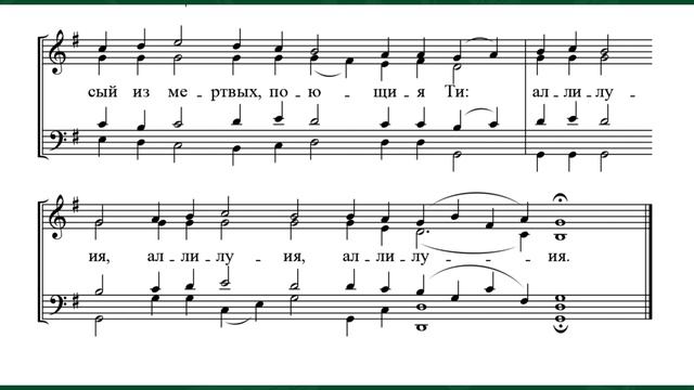 "Приидите поклонимся" (Ниловой пустыни, муз. Д. Разумовский и муз. Р. Подлубняк) - Андреевский звон смотреть онлайн