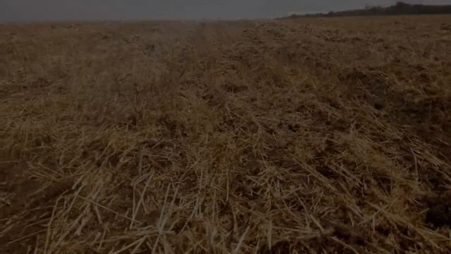 Культиватор КПЭ 3,8 и технология Овсинского смотреть онлайн