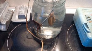 Цинковый ,жертвенный анод в агресивной среде при электролизе.