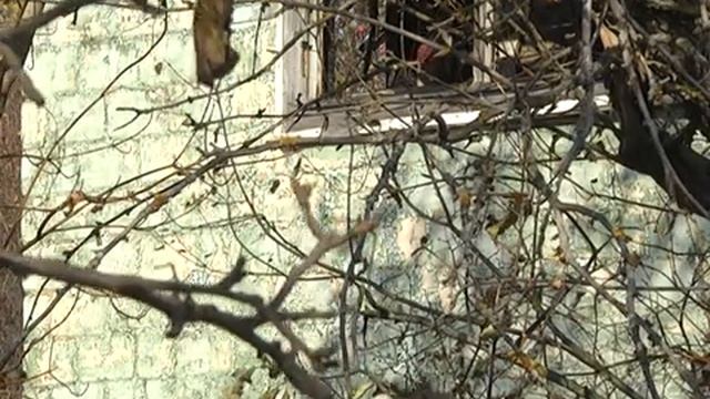 РЕЖИМ ХАЛАТНОСТИ смотреть онлайн