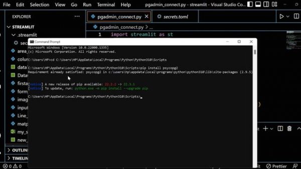 Connect PostgreSQL with Streamlit