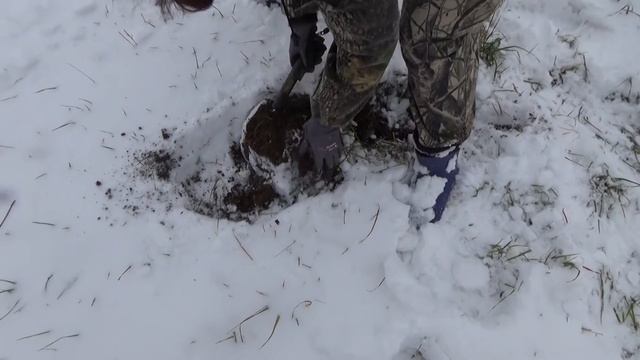 Покопали Замело смотреть онлайн