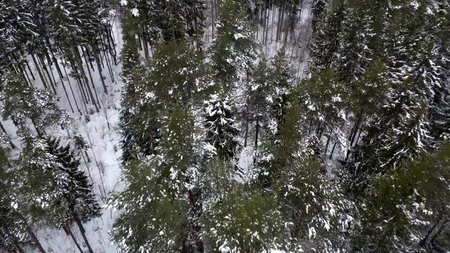 ❄️Полет зимы❄️ смотреть онлайн