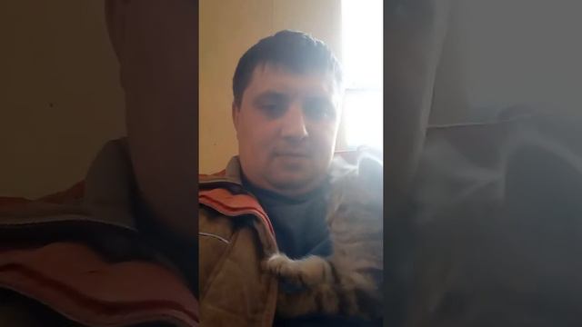 Рысь дикая 😁☝️☝️☝️☝️ смотреть онлайн