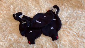 Обзор чучела тетерева ... Подготовка к охоте ...