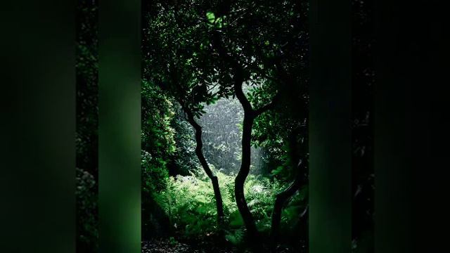 Расслабляющий звук дождя.Не можете уснуть посмотрите это видео и ты сразу уснёшь смотреть онлайн
